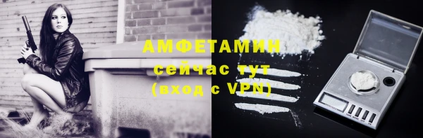 эйфоретик Богданович