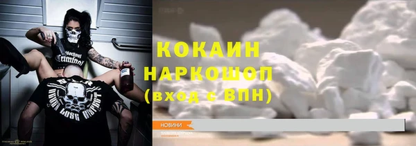 эйфоретик Богданович