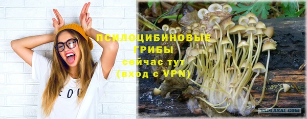эйфоретик Богданович